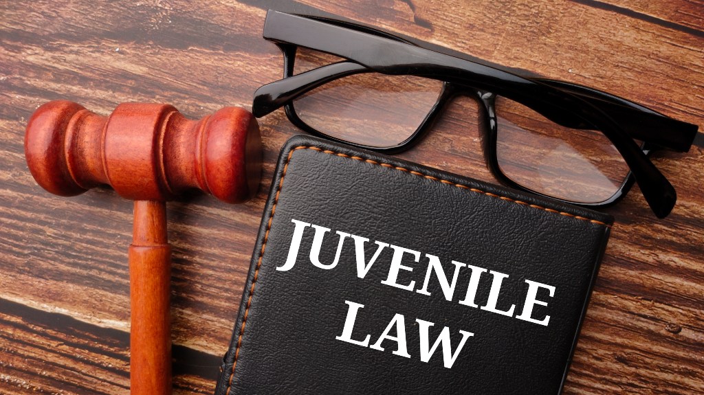 Juvenile law book
